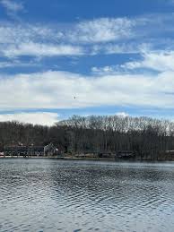 Image result for Guildford and District Gun Club