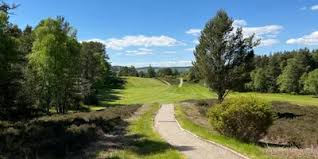 Image result for Abernethy Golf Club