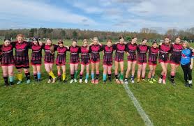 Image result for Ince Rosebridge Sports & Community Club