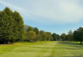 Image result for Cliftonville Hockey Club