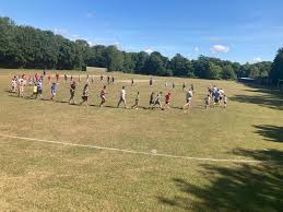 Image result for Shepherdswell Cricket Club