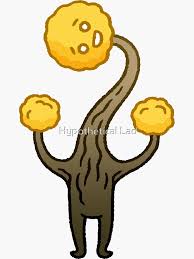 Attēlu rezultāti vaicājumam “Physarum viride”