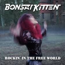 Kuvahaun tulos haulle bonsaikitten