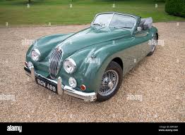 Image result for British Racing Green 1955 Jaguar
