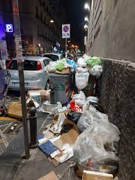 Image result for napoli garbage