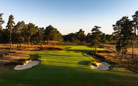 Image result for Hankley Common Golf Club