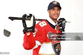 Afbeeldingsresultaat voor panters