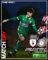 Image result for Camberley Ladies Football Club