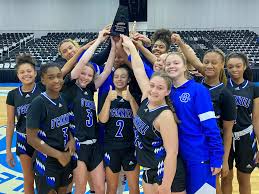 Image result for Blackpool Lights Ladies Basketball Club