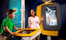 MathAlive   Teachers
