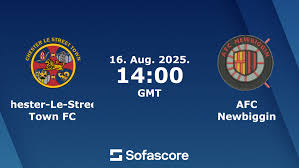 Image result for Chester Le Street Town Fc