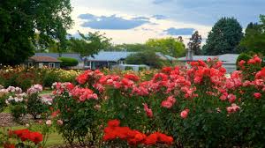 Image result for Frimley