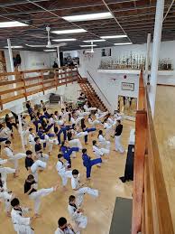 Image result for Kees Tae Kwon Do