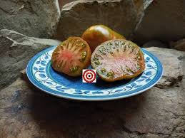 Afbeeldingsresultaat voor millionaire tomato