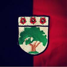 Image result for Chipperfield Corinthians Football Club