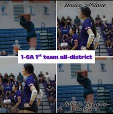 Image result for Ellesmere Port Eels Volleyball Club