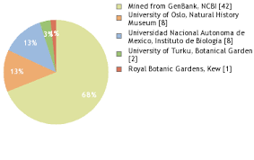 Attēlu rezultāti vaicājumam “Pachyphloeus melanoxanthus”