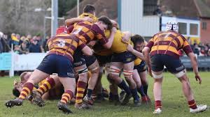 Image result for Westcliff Rugby Football Club