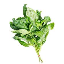 Image result for Basilikum