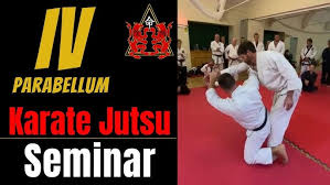 Image result for Kyomeikai Karate Club