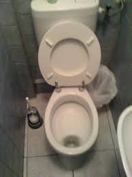 Image result for german toilet