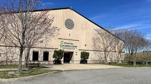 Image result for Newport Gymnastics Club