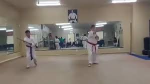 Image result for Northern Freestyle Karate Association