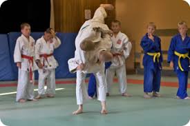 Image result for Merseyside judo association