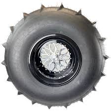 Image result for sand paddle tyre