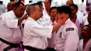 Image result for Southampton University Shorinji Kempo Club