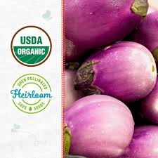 Afbeeldingsresultaat voor rosa bianca eggplant