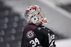 Image result for York University Hockey Club