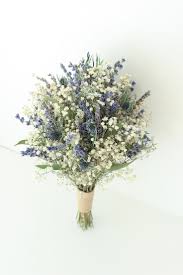 Image result for Blaudistel