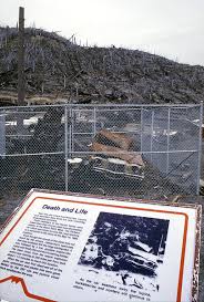 Image result for St Helens Miners