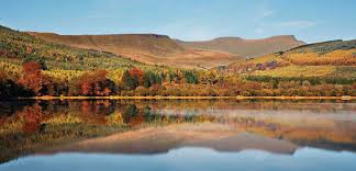 Image result for Beacons