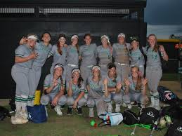 Image result for Dragons Softball Club