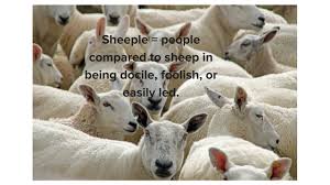 Image result for sheeple