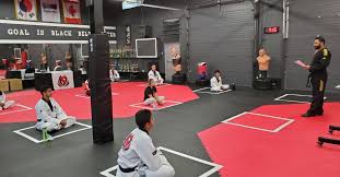 Image result for New Milton Taekwondo Club