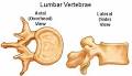 Atlas Chiropratic, Rehabilitation &amp; Massage Therapy: FAQs