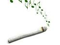 top 10 marijuana songs