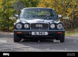 Image result for Black 1983 Jaguar