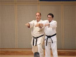 Image result for Junsui Shotokan Karate Do