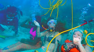 Image result for Looe Diving Club