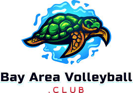 Image result for Aberlady Bays Volleyball Club