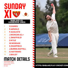 Image result for Bablake Old Boys Cricket Club