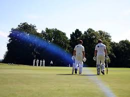 Image result for Antelope & Castle Cricket Club