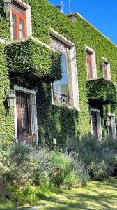 Image result for Vale Royal Sac