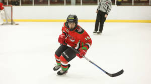 Image result for Romford Junior Ice Hockey Club