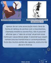 Image result for Rabo de Arraia Capoeira