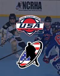 Image result for Walsall Roller Hockey Club